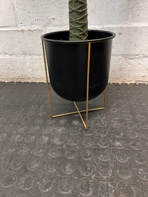 Artificial Variegated Plant in Black Pot with Gold Stand — Good Working Order – back view