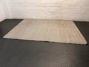 Large Woven Beige Area Rug — Well Used Rug – main front view