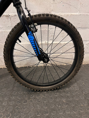 20 Inch Avalanche Mountain Bike in Black and Blue — Good Condition with Fair Wear – back view