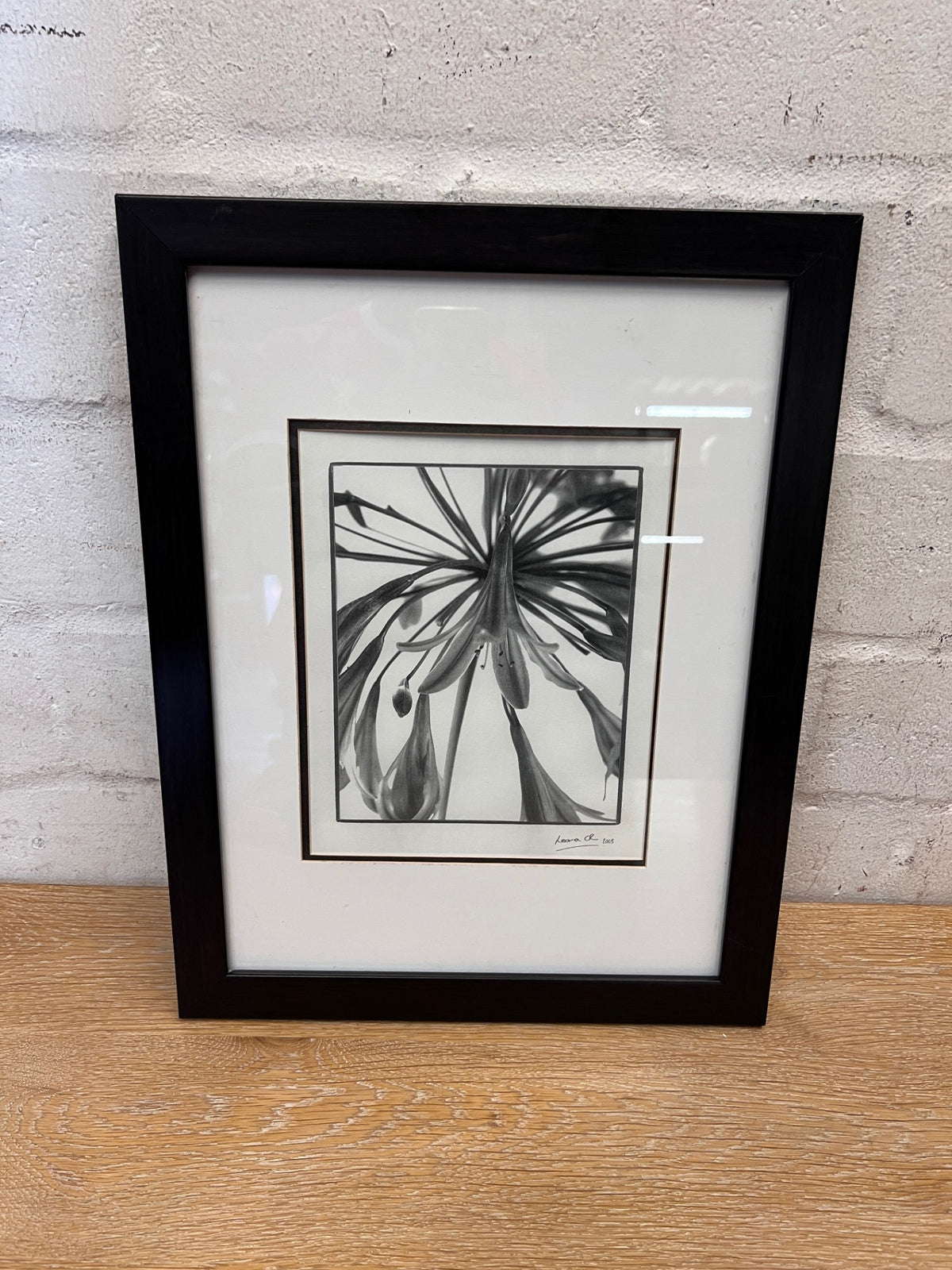 Framed Monochromatic Agapanthus Botanical Art – main front view