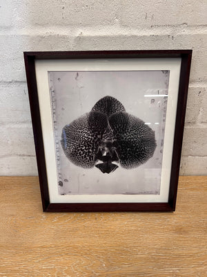 Framed Monochromatic Orchid Botanical Print – side view