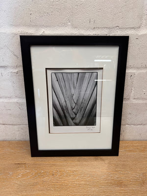 Framed Black and White Botanical Wall Art – back view