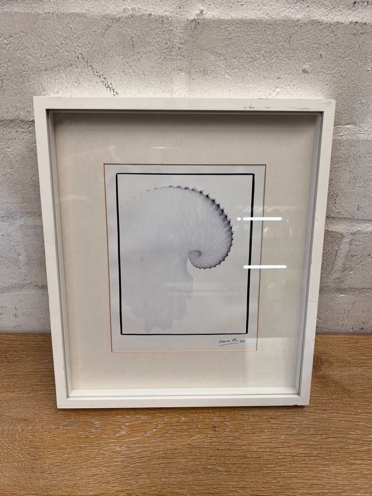 Minimalist Nautilus Shell Framed Artwork by Leana – back view