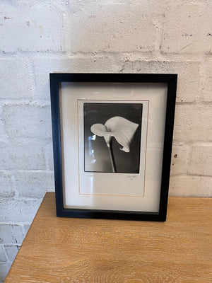 Framed Monochrome Arum Lily Photographic Print – back view