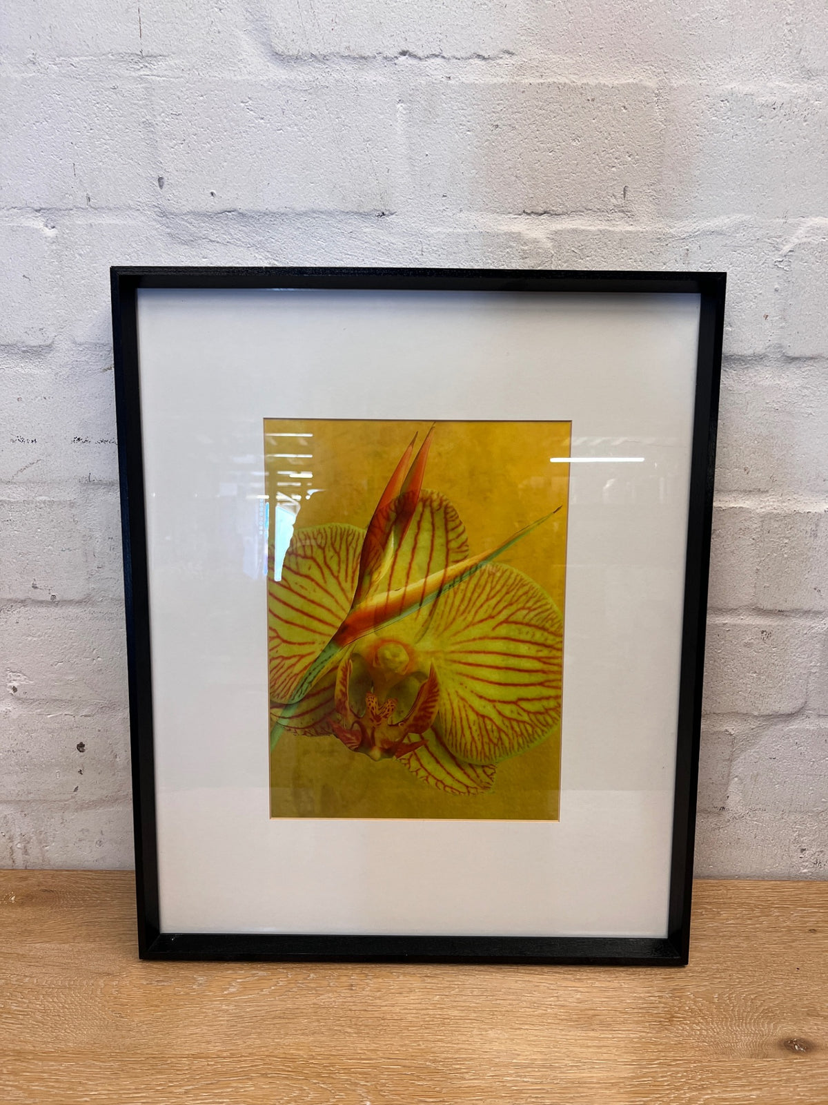 Framed Botanical Orchid and Strelitzia Artwork – condition detail