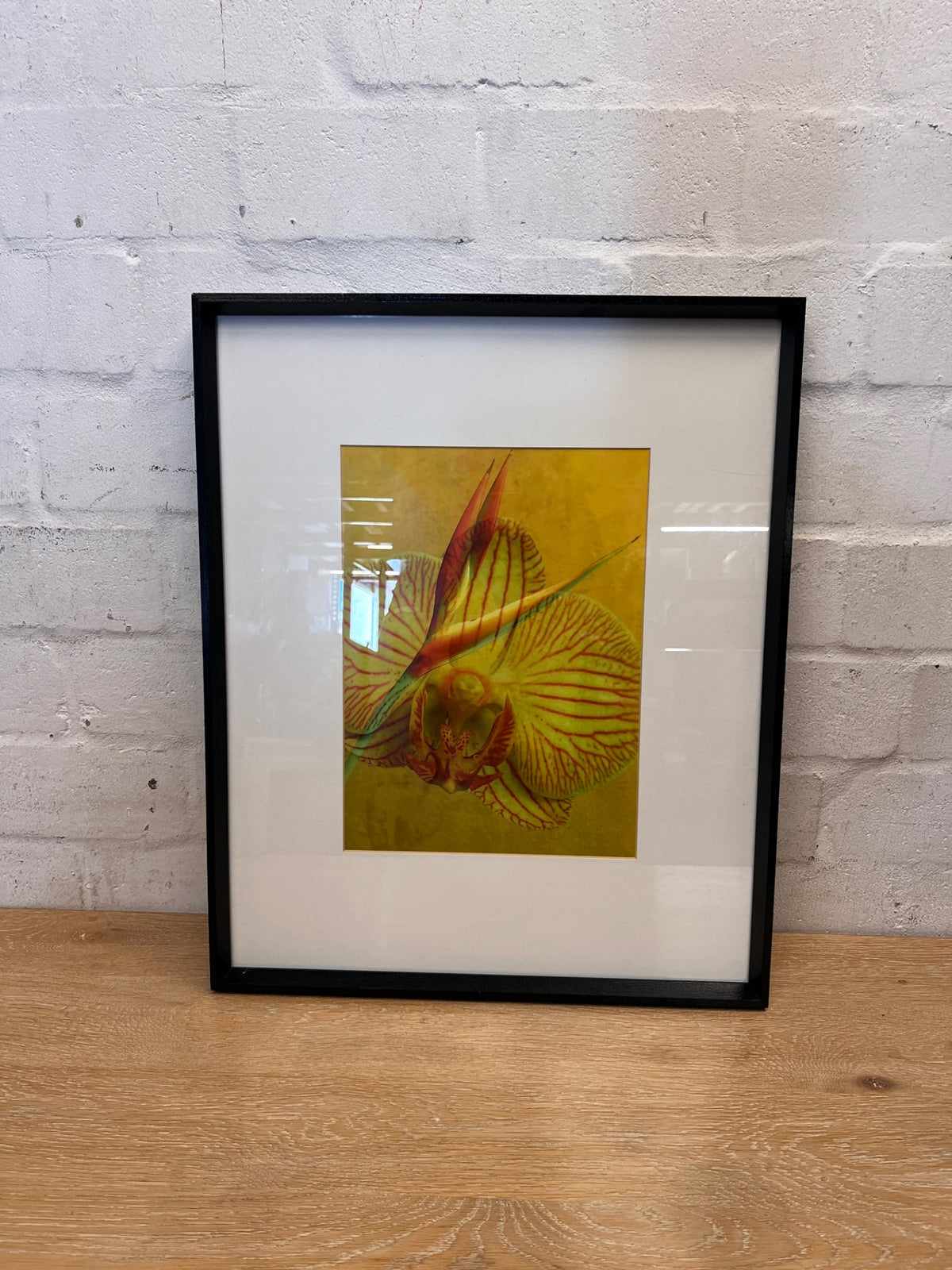 Framed Botanical Orchid and Strelitzia Artwork – main front view