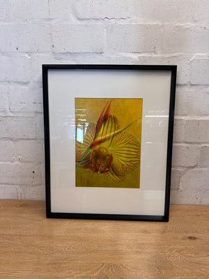 Framed Botanical Orchid and Strelitzia Artwork – main front view