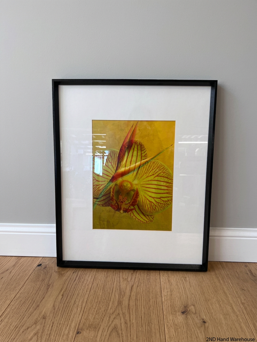 Framed Botanical Orchid and Strelitzia Artwork – styled product image