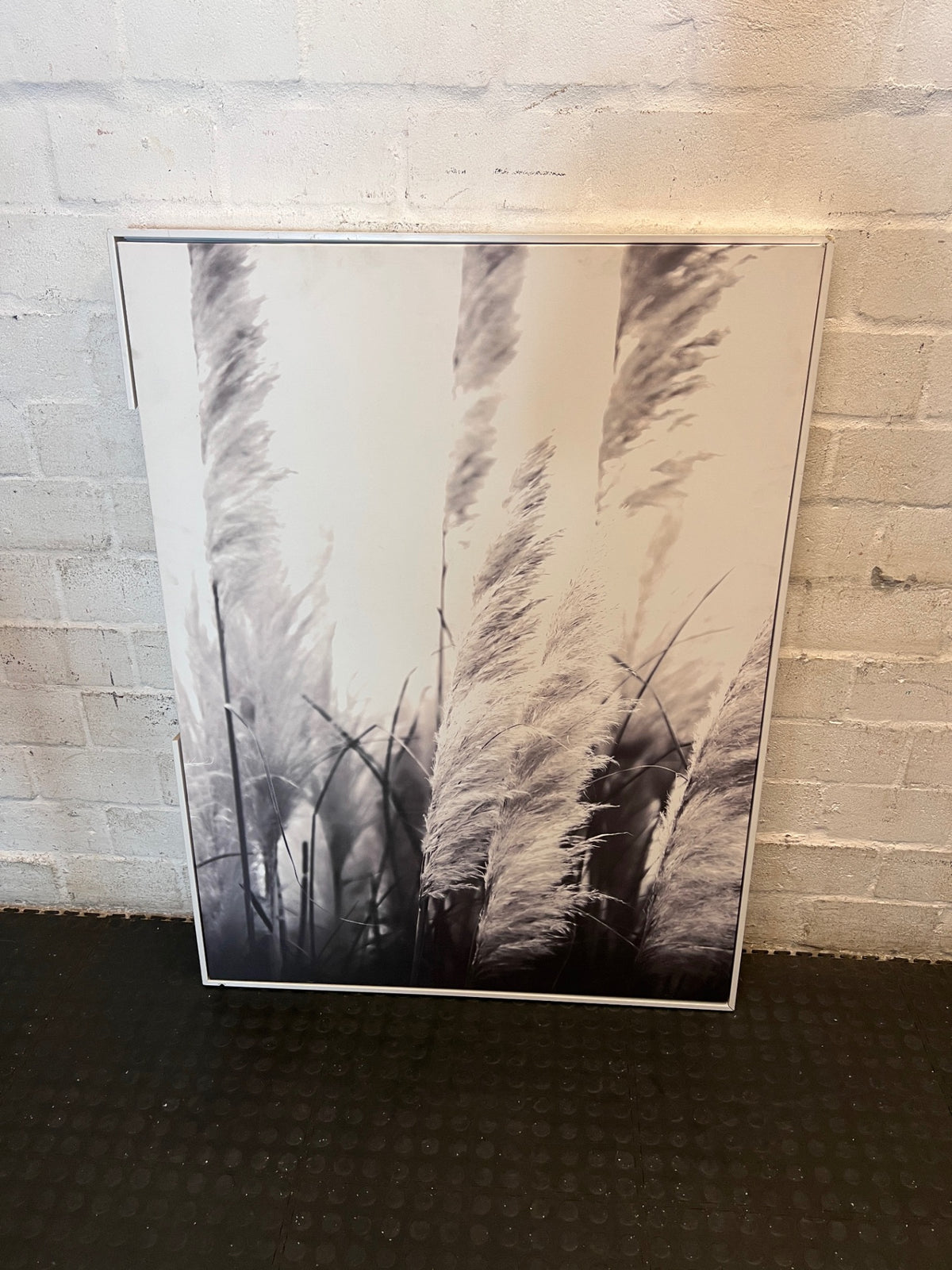 Large Monochrome Pampas Grass Framed Wall Art – main front view