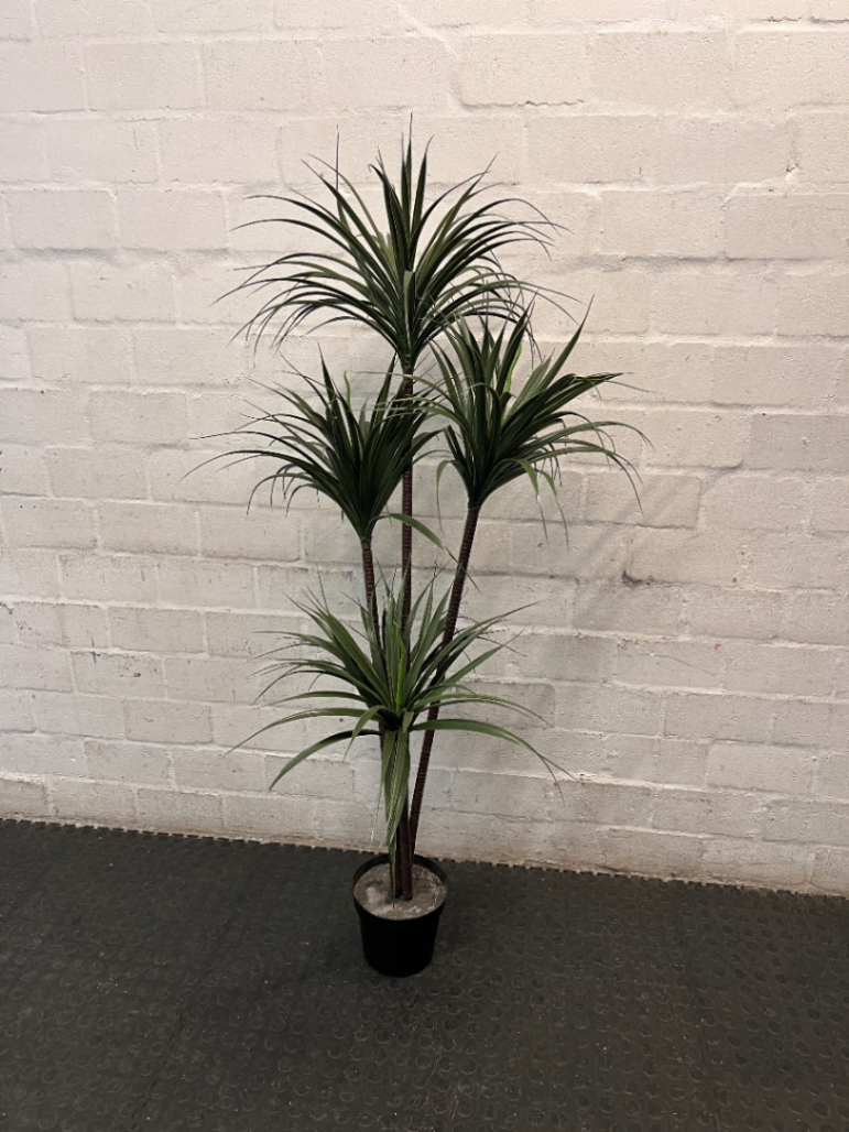 Multi-Stemmed Artificial Dracaena Plant in Black Pot