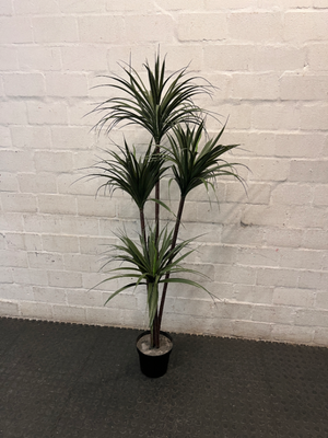 Multi-Stemmed Artificial Dracaena Plant in Black Pot
