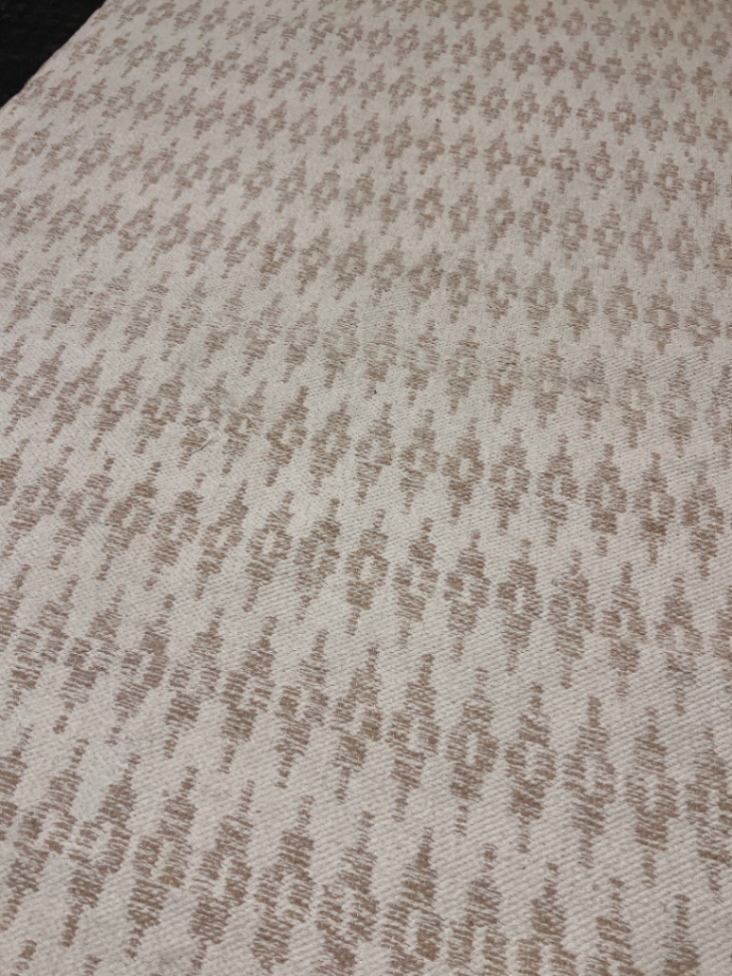 Beige Geometric Woven Area Rug — Well Used Condition