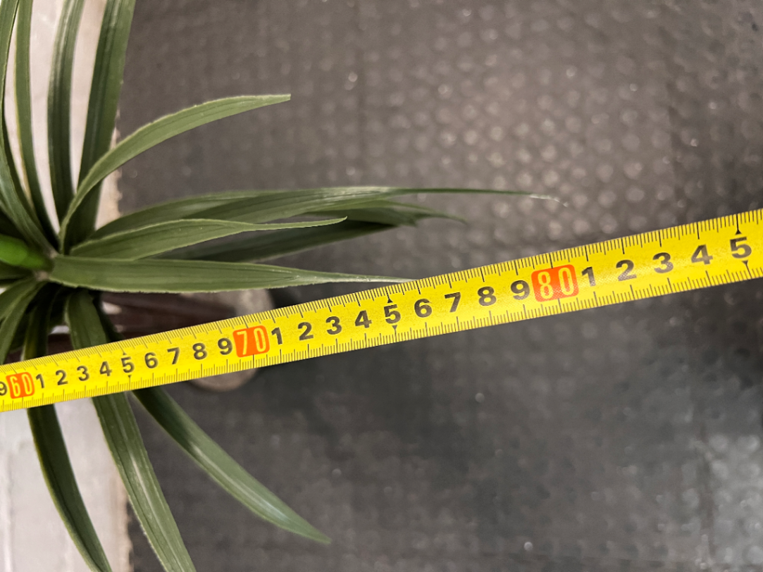 Multi-Stemmed Artificial Dracaena Plant in Black Pot
