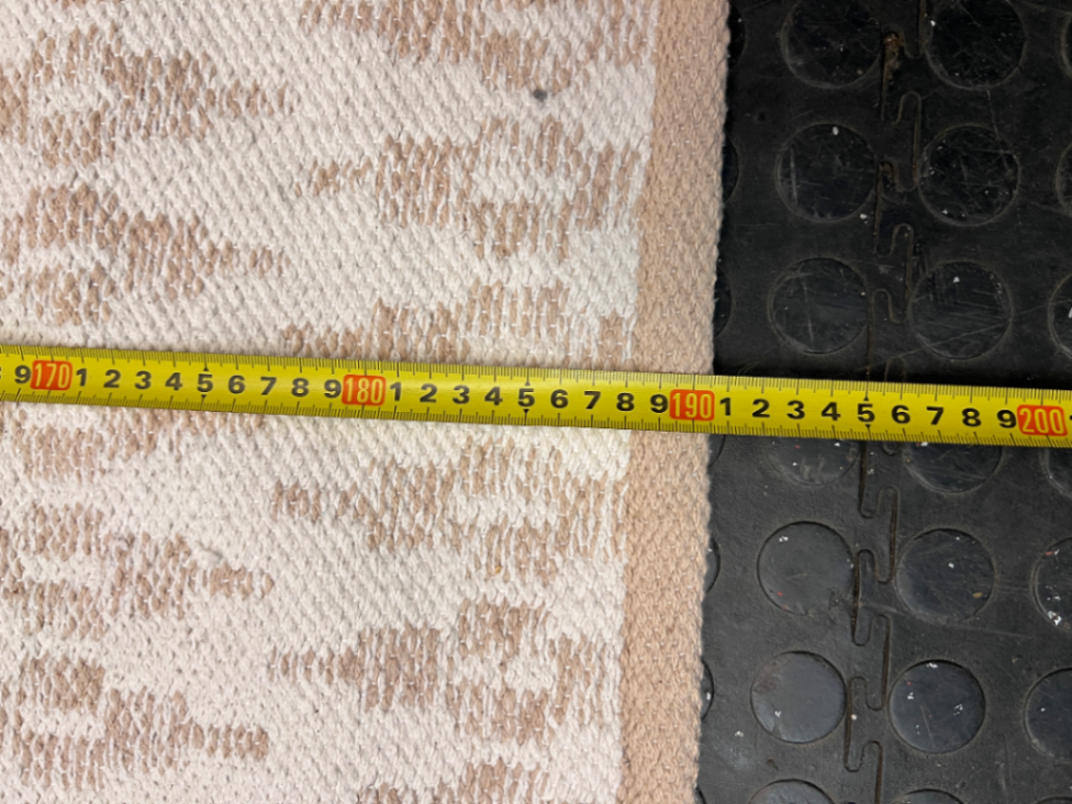 Beige Geometric Woven Area Rug — Well Used Condition