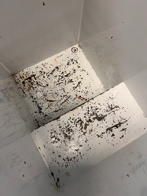 Defy 210L Chest Freezer - Visible Interior Damage - 2ndhandwarehouse.com