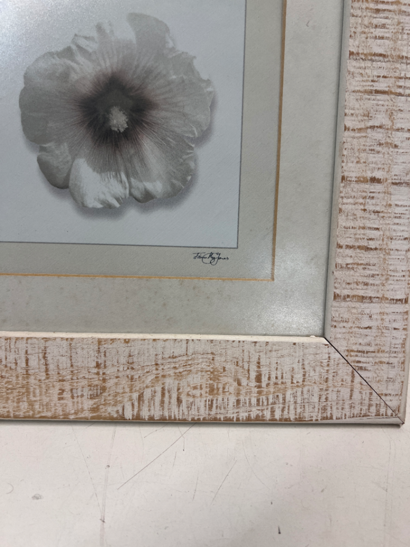 Rustic Whitewashed Square Flower Picture Frame — Good Working Order - 2ndhandwarehouse.com