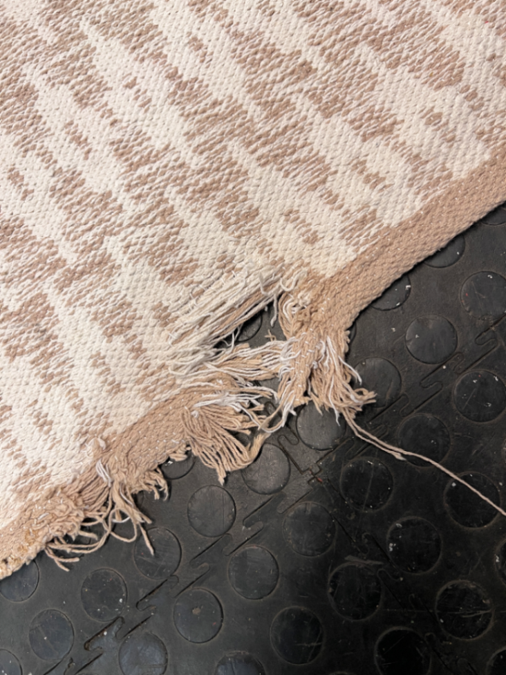 Beige Geometric Woven Area Rug — Well Used Condition