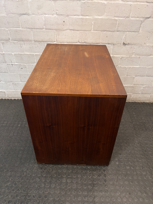 Recessed Panel Wooden Double Door Cabinet — Fair Used Condition