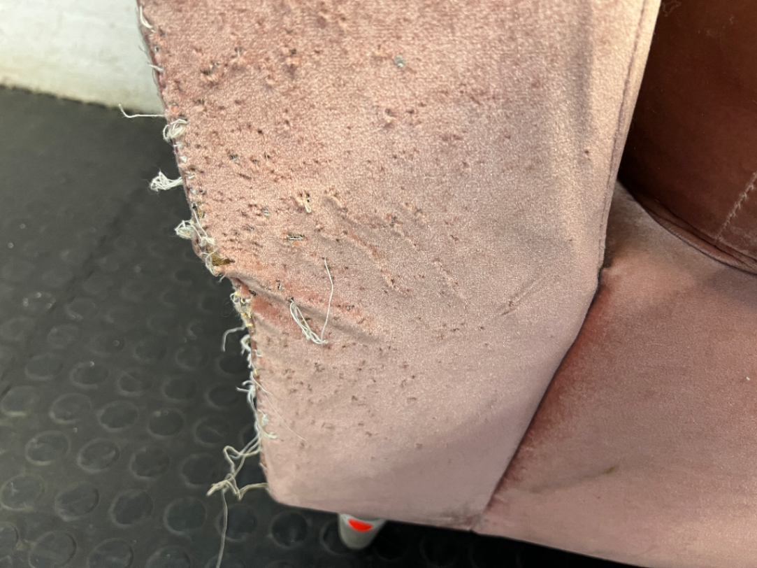Dusty Pink Velvet-Style Upholstered Daybed — Well Used with Visible Fabric Wear