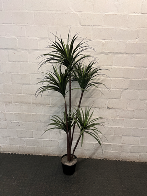 Multi-Stemmed Artificial Dracaena Plant in Black Pot