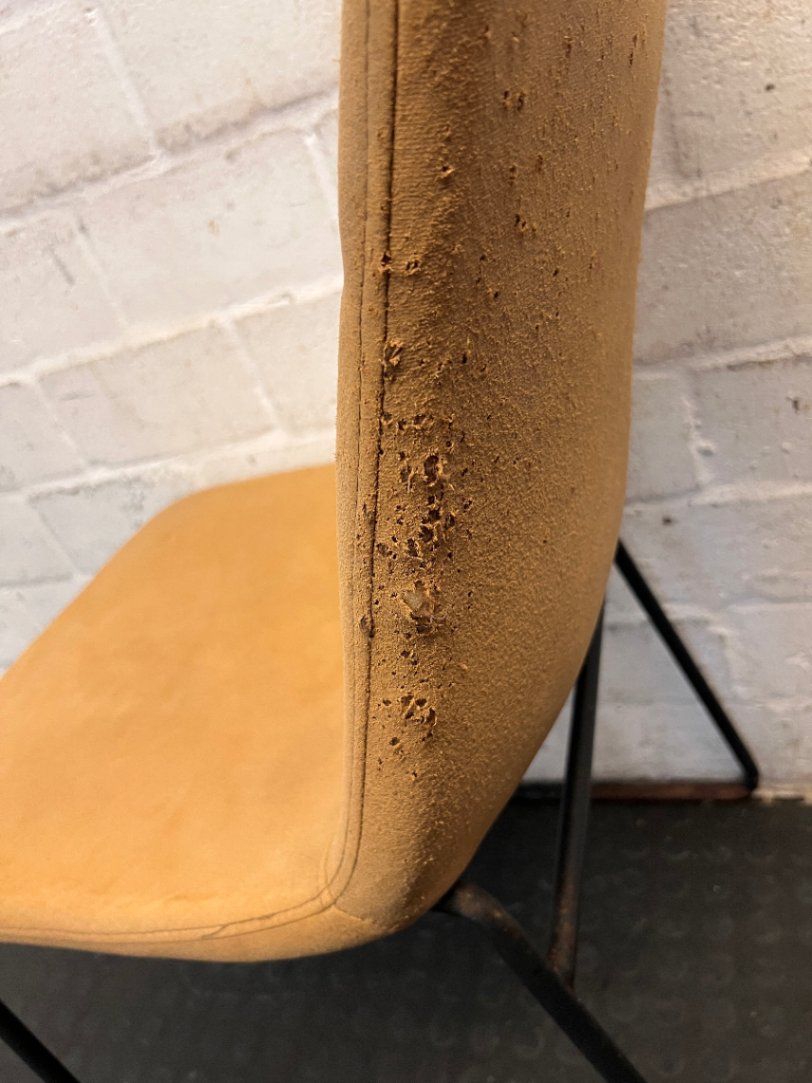 Pair of Mustard Dining Chairs - Upholstery Wear & Base Rust - 2ndhandwarehouse.com