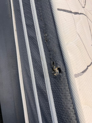 Sleepmasters Seattle MKII Three Quarter Bed Set - Small Tear on Side - 2ndhandwarehouse.com