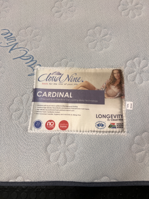 Firm Cloud 9 Queen Mattress - 2ndhandwarehouse.com