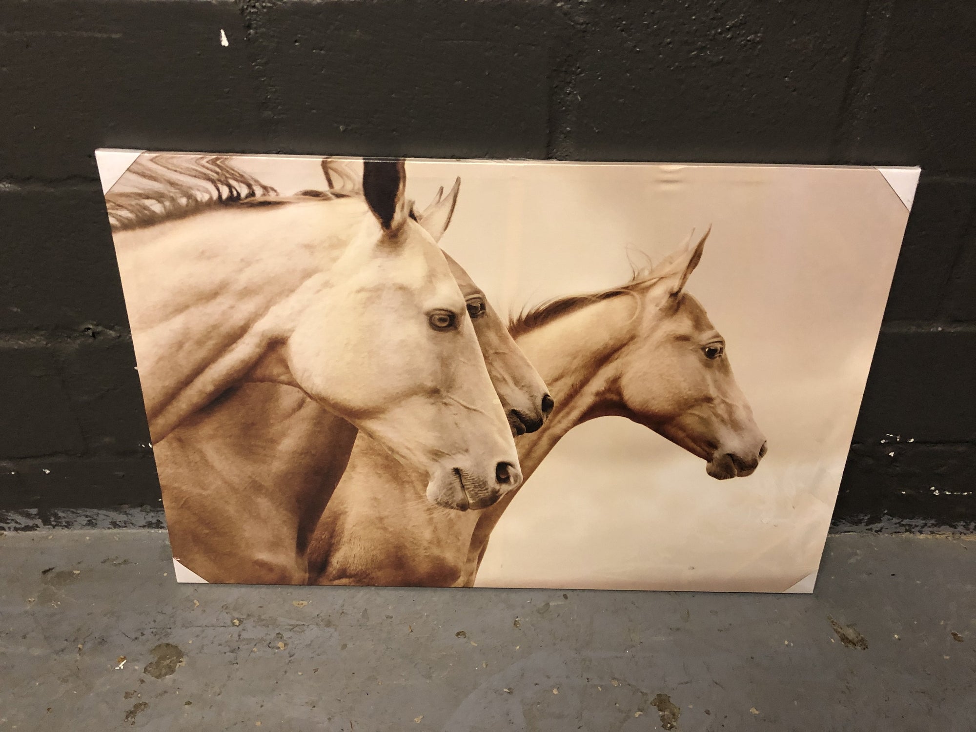 Horse Canvas Wall Art - 2ndhandwarehouse.com