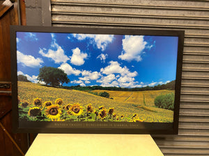 Sunflower Valley Large Framed Picture -REDUCED