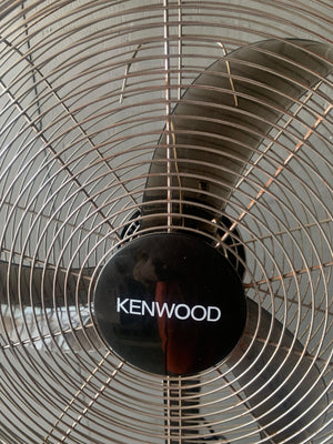 Kenwood Standing Fan