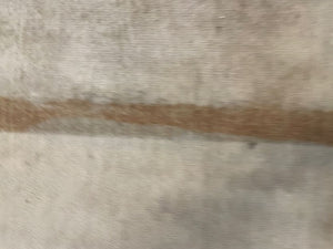 Cream & Brown Carpet 155cm X 227cm - PRICE DROP