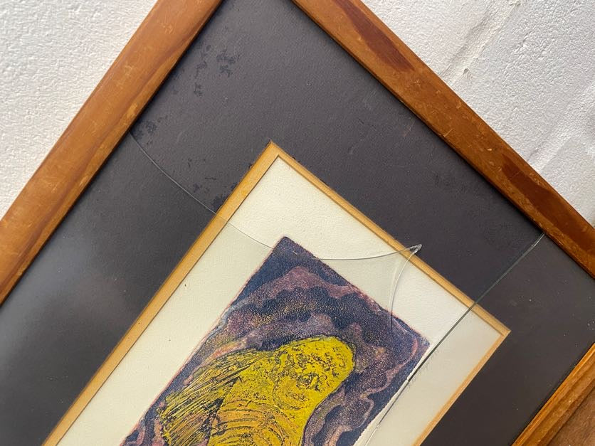 Abstract Fish Framed Art (Broken Glass)