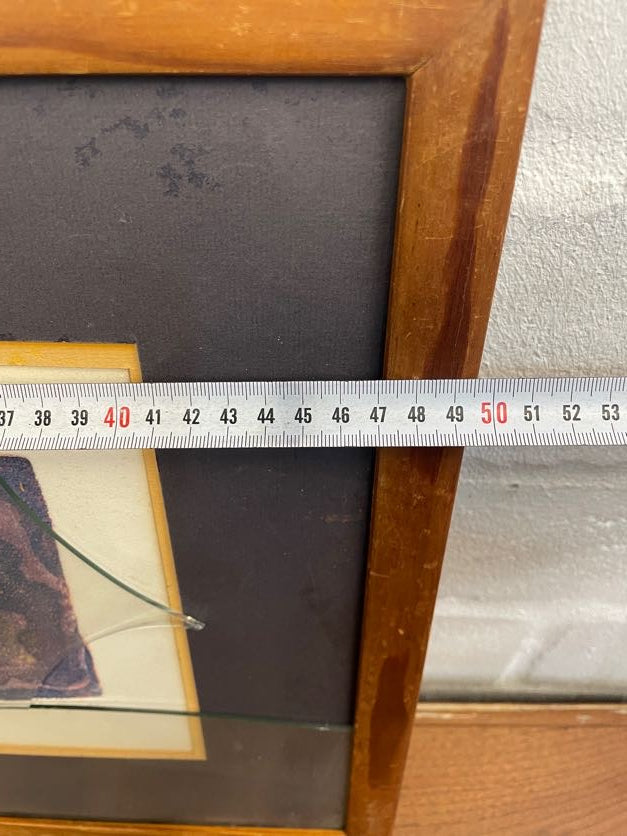 Abstract Fish Framed Art (Broken Glass)